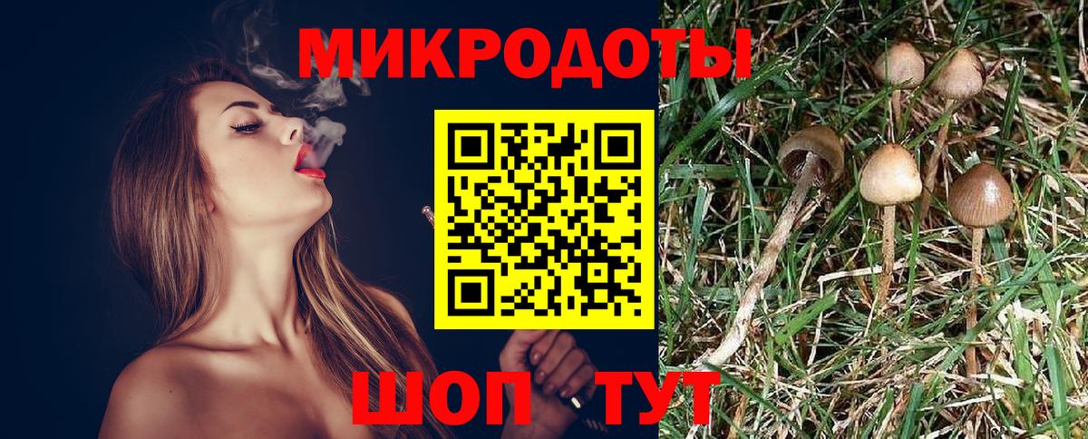 Красный Сулин  Псилоцибиновые грибы GOLDEN TEACHER  Псилоцибиновые грибы ЛСД  Вход с VPN 